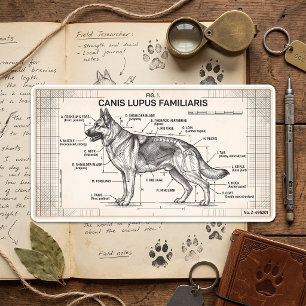 Sticker Carré Plan directeur du chien berger allemand