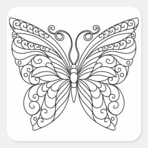 Sticker Carré Plan papillon