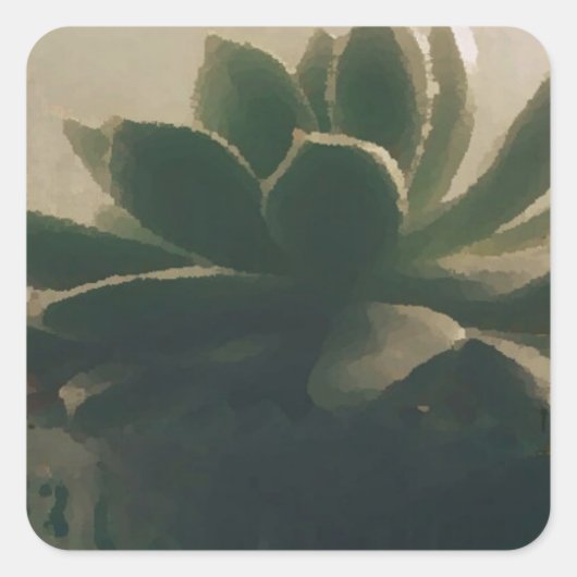 Sticker Carré Plante (Devant)