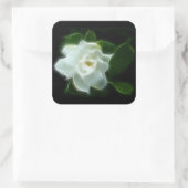 Sticker Carré Plante à fleurs de Gardenia blanc (Sac)