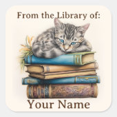 Sticker Carré Plaque avec chat posée sur les livres (Devant)