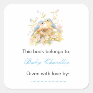 Sticker Carré Plaque Baby shower Spring Birds