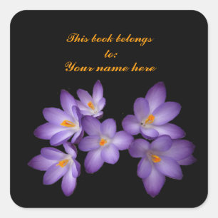 Sticker Carré Plaque de crocus pourpre
