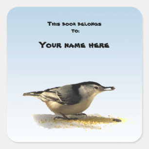 Sticker Carré Plaque de cuisson Nuthatch