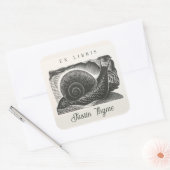 Sticker Carré Plaque d'escargot Vintage modifiable (Enveloppe)