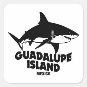 Sticker Carré Plongée Sous-Marine Avec Requins Île De Guadalupe