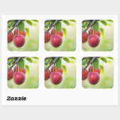 Sticker Carré Plum cerise sur branche (Feuille)
