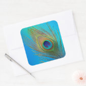 Sticker Carré Plume de queue de paon (Enveloppe)