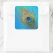 Sticker Carré Plume de queue de paon (Sac)