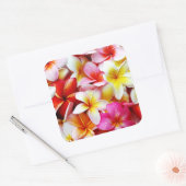 Sticker Carré Plumeria Frangipani Hawaii Fleur Customisée (Enveloppe)