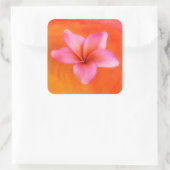 Sticker Carré Plumeria Frangipani Hawaii Flower Customized Blank (Sac)
