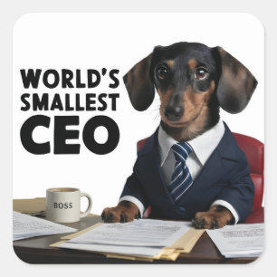 Sticker Carré Plus petit PDG du monde, mignon et drôle dachshund
