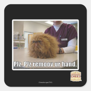 Sticker Carré Plz remoov votre main