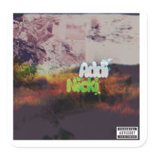 Pochette de l'album Addi Nicki