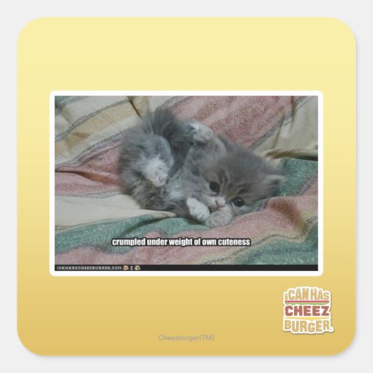 Sticker Carré Poids propre (Devant)