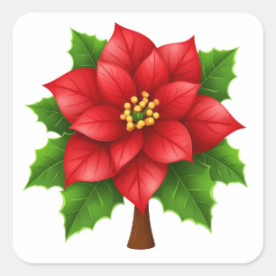 Sticker Carré Poinsettia rouge vibrant avec des feuilles vertes