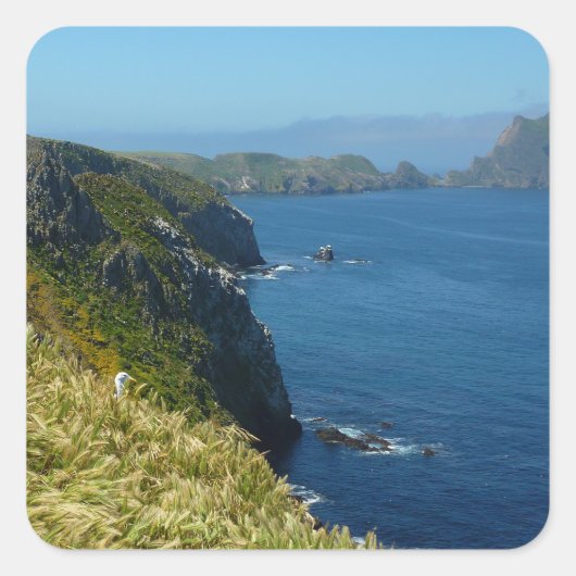 Sticker Carré Point d'inspiration II d'Anacapa aux îles Anglo-No (Devant)
