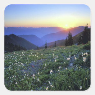 Sticker Carré Point d'obstruction coucher de soleil, Pôle olympi