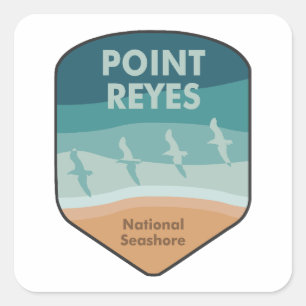 Sticker Carré Pointe Reyes National Seashore California Seaguls
