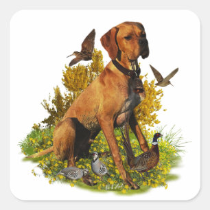 Sticker Carré Pointeur anglais, chasse aux oiseaux