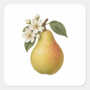 Sticker Carré Poire et Fleurs Blanches