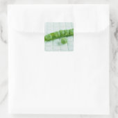Sticker Carré Pois verts (Sac)