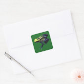 Sticker Carré Poison grenouille (Enveloppe)