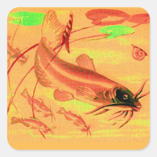 Sticker Carré poisson (Devant)