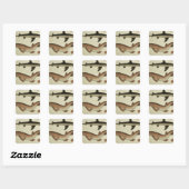 Sticker Carré Poisson-chien moins tacheté (Feuille)