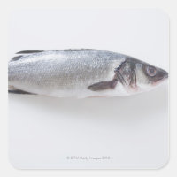 Poisson de ramizini entier