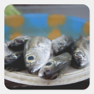 Sticker Carré Poisson frais sur le marché aux poissons Mercado d