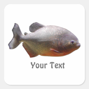 Sticker Carré Poissons sud-américains de piranha