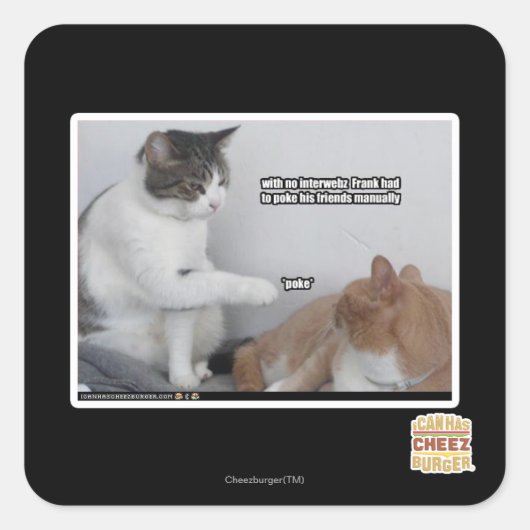 Sticker Carré Poke. (Devant)