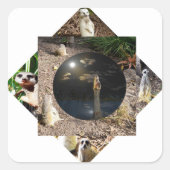 Sticker Carré Polyscope de Meerkat, (Devant)