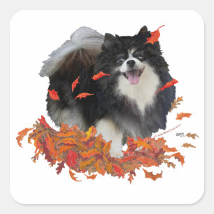 Sticker Carré Pomeranian en Automne