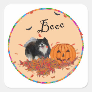 Sticker Carré Pomeranian noir Halloween