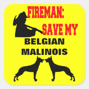 Sticker Carré Pompier Sauvez Mes Deux Chiens Malinois Belges
