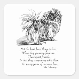 Sticker Carré Pont Pekingese Chien Rainbow