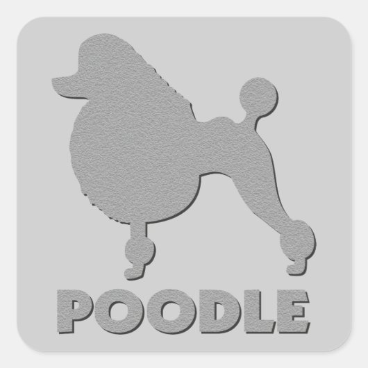 Sticker Carré Poodle (Devant)