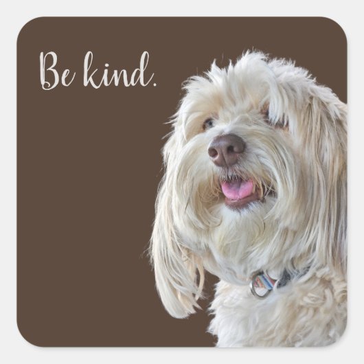 Sticker Carré Poodle à pattes avec citation (Devant)