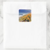 Sticker Carré Poppies de Californie (Sac)