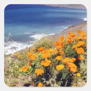 Sticker Carré Poppies de Californie
