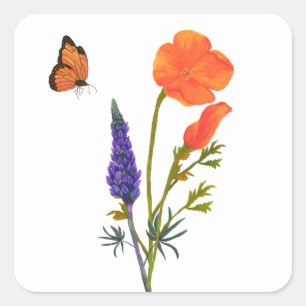 Sticker Carré Poppies de printemps fleur sauvage Pré Orange viol