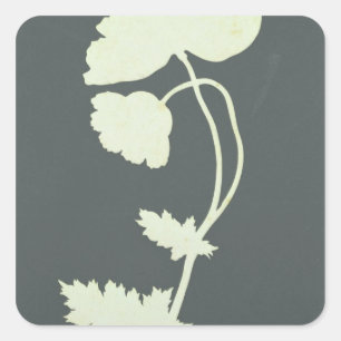 Sticker Carré Poppy