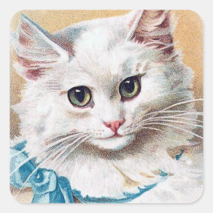 Sticker Carré Portrait blanc de chat