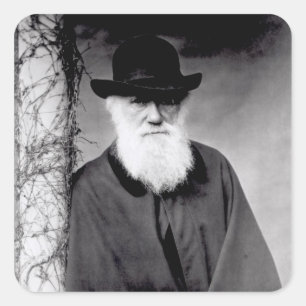 Sticker Carré Portrait de Charles Darwin 1881
