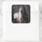Sticker Carré Portrait de cheval II (Sac)