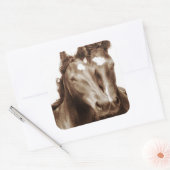 Sticker Carré Portrait de cheval III (Enveloppe)