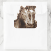 Sticker Carré Portrait de cheval III (Sac)