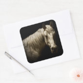 Sticker Carré Portrait de cheval VI (Enveloppe)